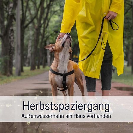 Ferienloft Sternenblick - Strandnah, Haustierfreundlich, Tolle Kueche, Optimal Fuer Workation, 4 Personen Steinberg  Екстериор снимка