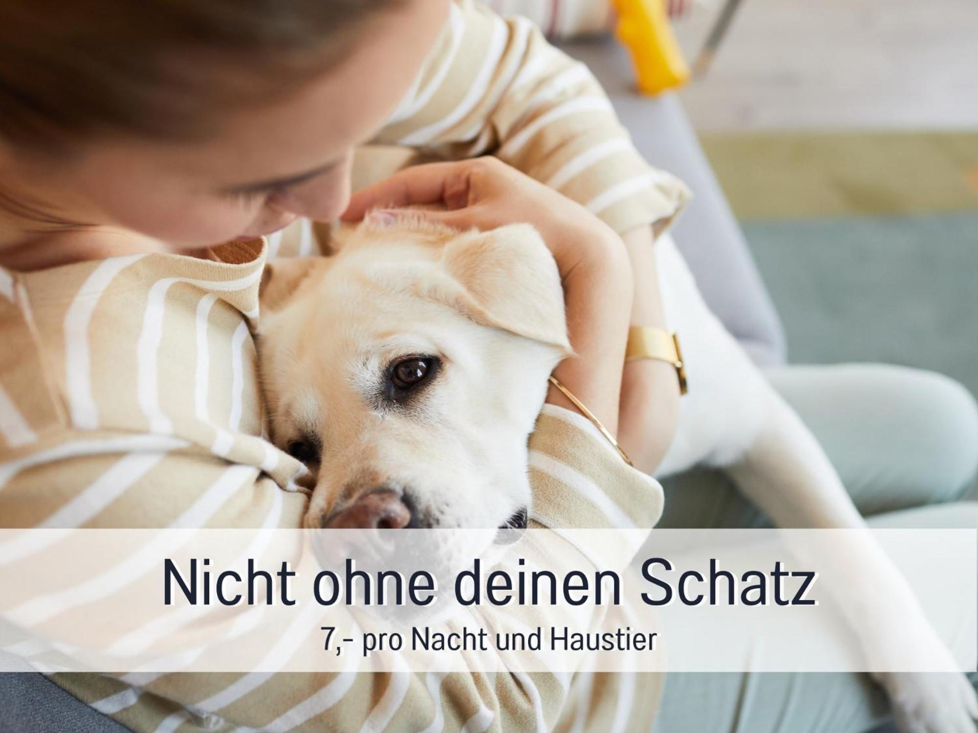 Ferienloft Sternenblick - Strandnah, Haustierfreundlich, Tolle Kueche, Optimal Fuer Workation, 4 Personen Steinberg  Екстериор снимка