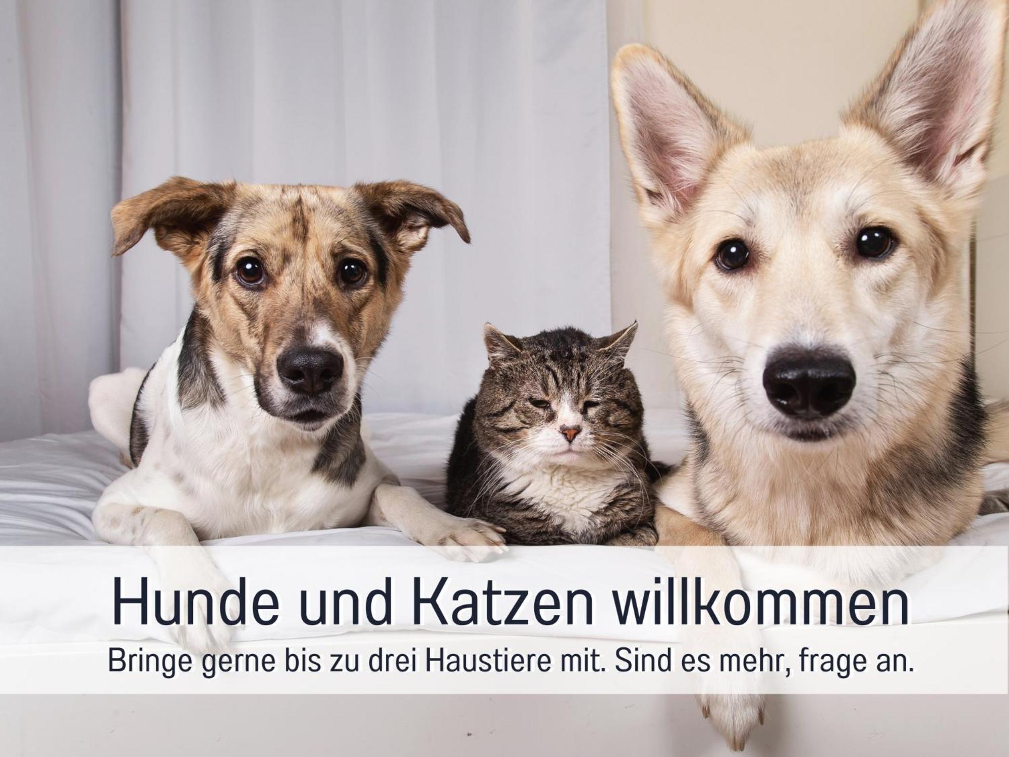 Ferienloft Sternenblick - Strandnah, Haustierfreundlich, Tolle Kueche, Optimal Fuer Workation, 4 Personen Steinberg  Екстериор снимка