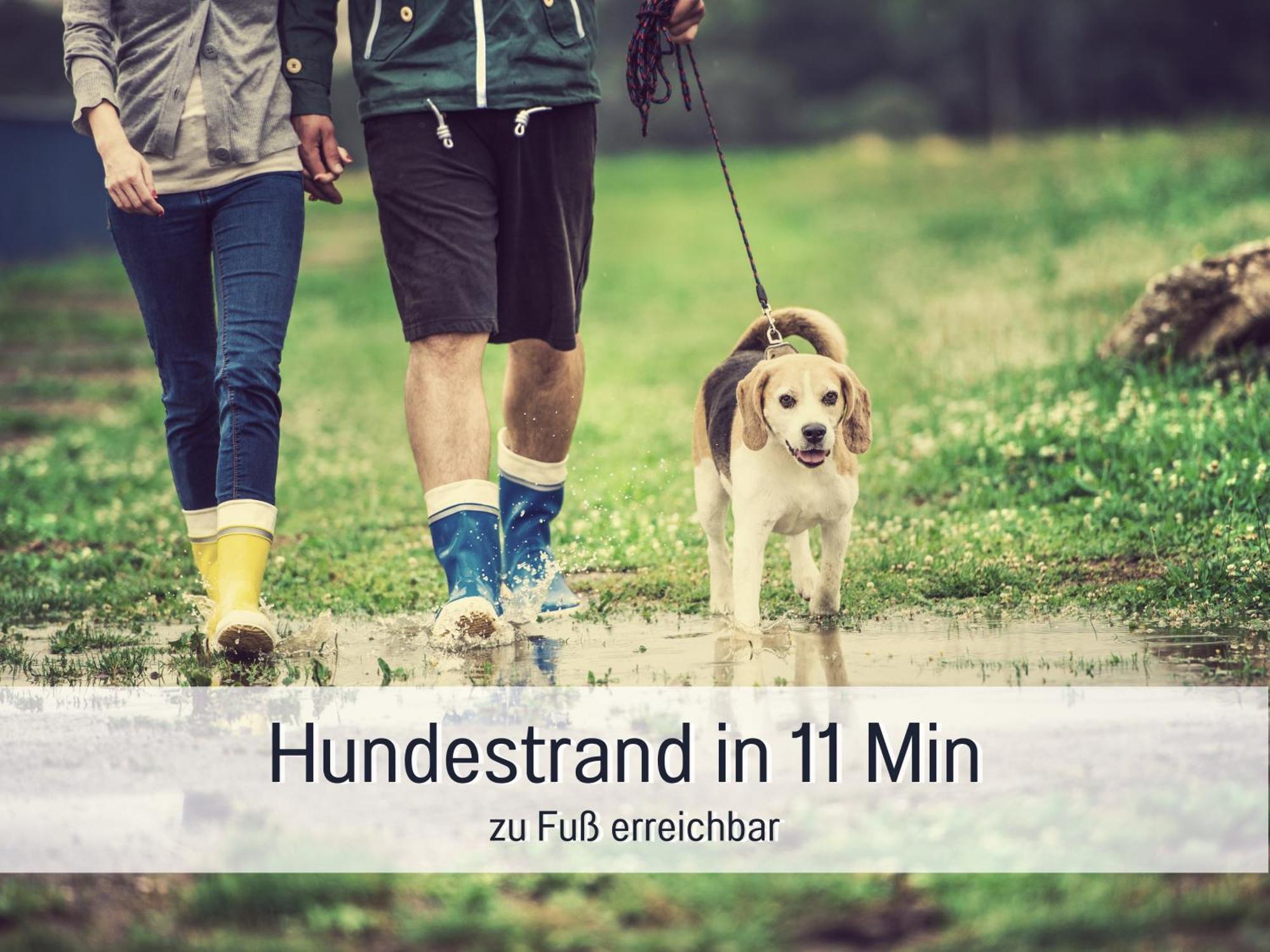 Ferienloft Sternenblick - Strandnah, Haustierfreundlich, Tolle Kueche, Optimal Fuer Workation, 4 Personen Steinberg  Екстериор снимка