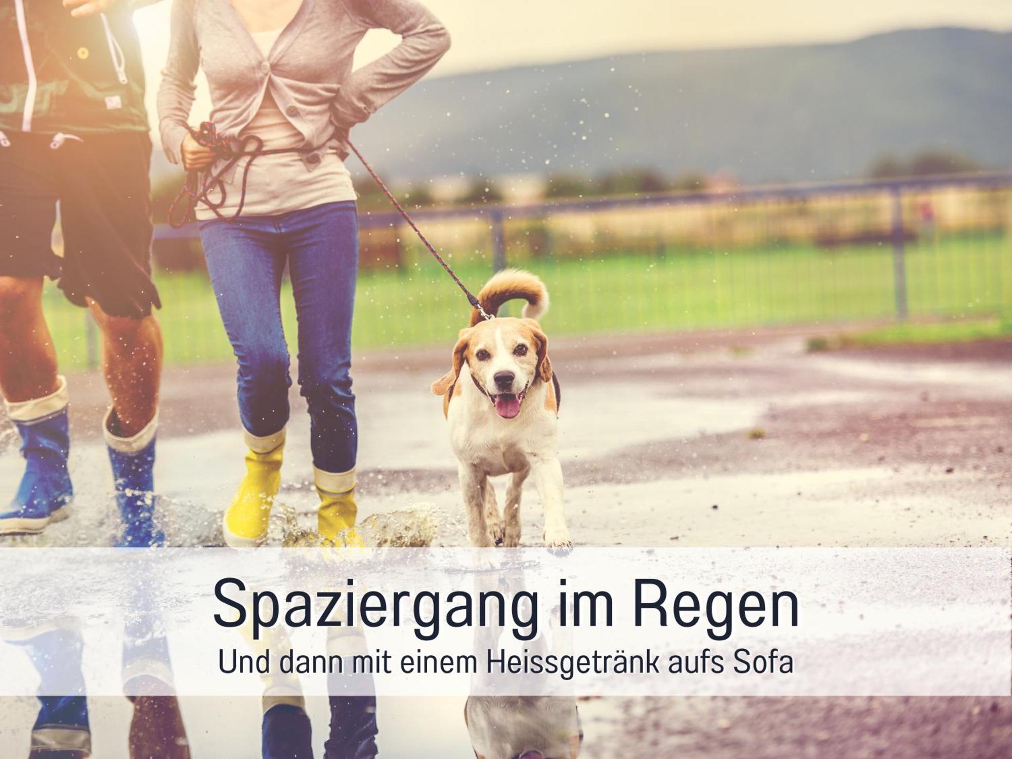 Ferienloft Sternenblick - Strandnah, Haustierfreundlich, Tolle Kueche, Optimal Fuer Workation, 4 Personen Steinberg  Екстериор снимка
