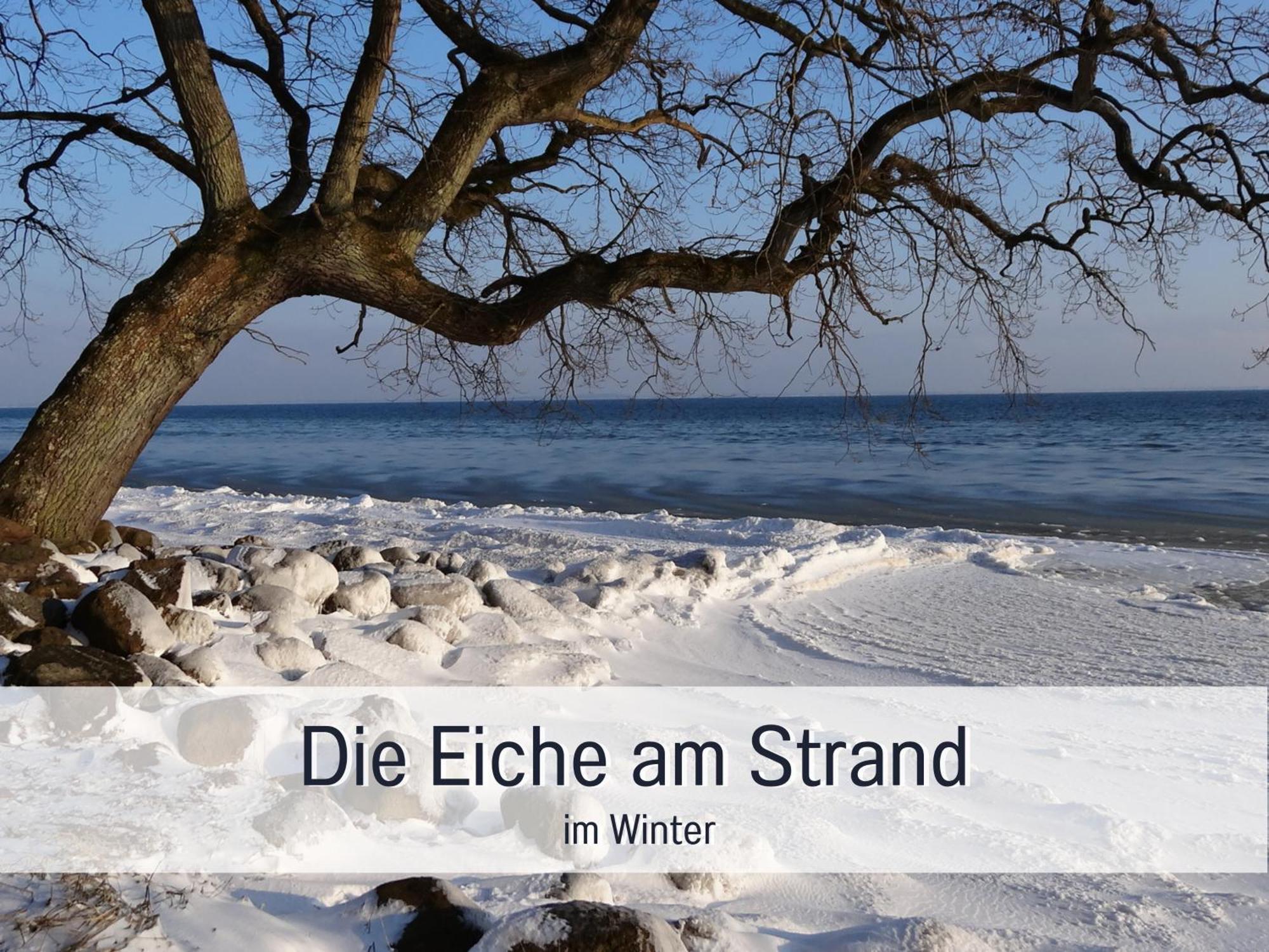 Ferienloft Sternenblick - Strandnah, Haustierfreundlich, Tolle Kueche, Optimal Fuer Workation, 4 Personen Steinberg  Екстериор снимка