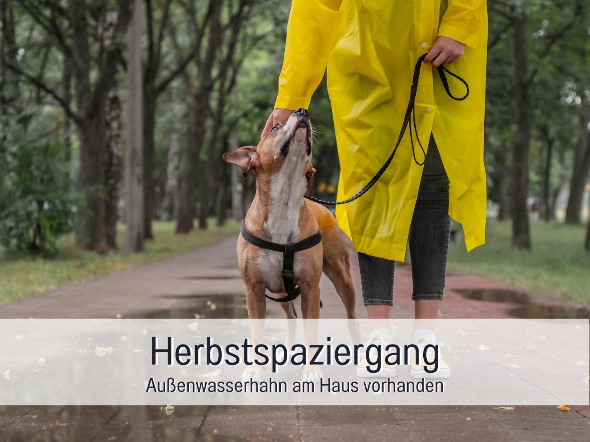Ferienloft Sternenblick - Strandnah, Haustierfreundlich, Tolle Kueche, Optimal Fuer Workation, 4 Personen Steinberg  Екстериор снимка