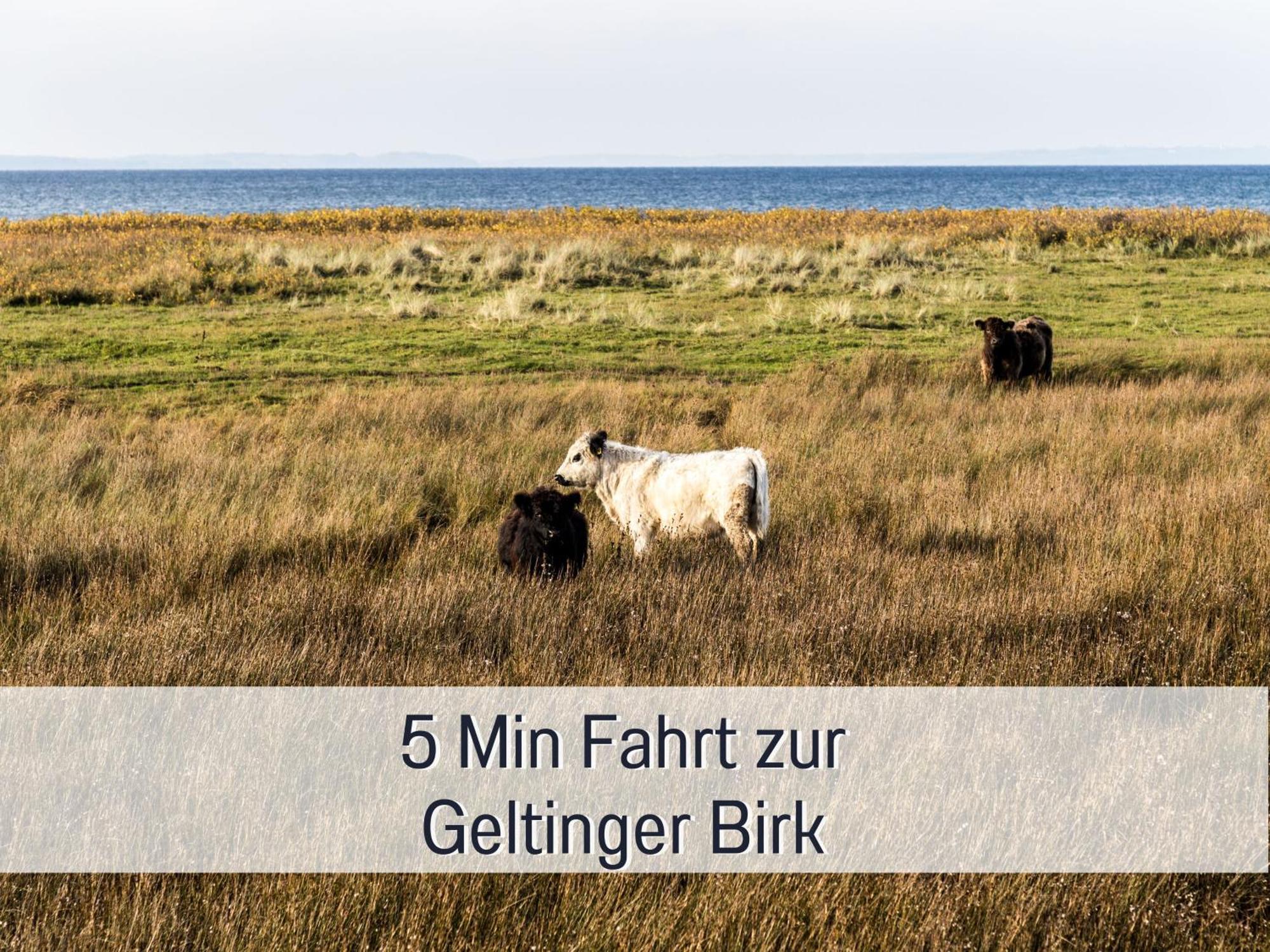 Ferienloft Sternenblick - Strandnah, Haustierfreundlich, Tolle Kueche, Optimal Fuer Workation, 4 Personen Steinberg  Екстериор снимка